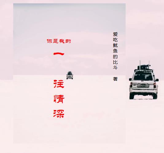 你是我的一场空小说
