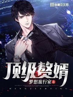 顶级赘婿陈北疆