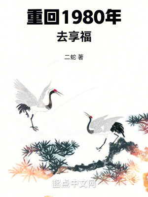 重回1980年1-100集动画