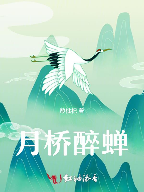 月桥夜景