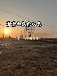 潇潇雨歇抬望眼仰天长啸壮怀激烈三十功名尘与土