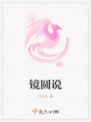 镜双城小说