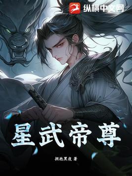 星武战帝 小说