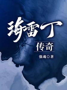 海雷科技新能源有限公司