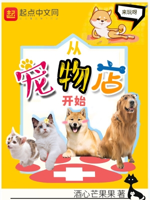 从宠物店接回家的猫