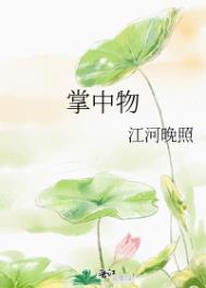 掌中物txt下载