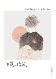日落紫禁城电视剧解说